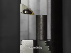 কাস্টমার তৈরি কালো অক্সাইড লেপযুক্ত স্টেইনলেস অ্যালোয় স্টীল শ্যাফ্ট যথার্থ সিএনসি মেশিনিং জন্য